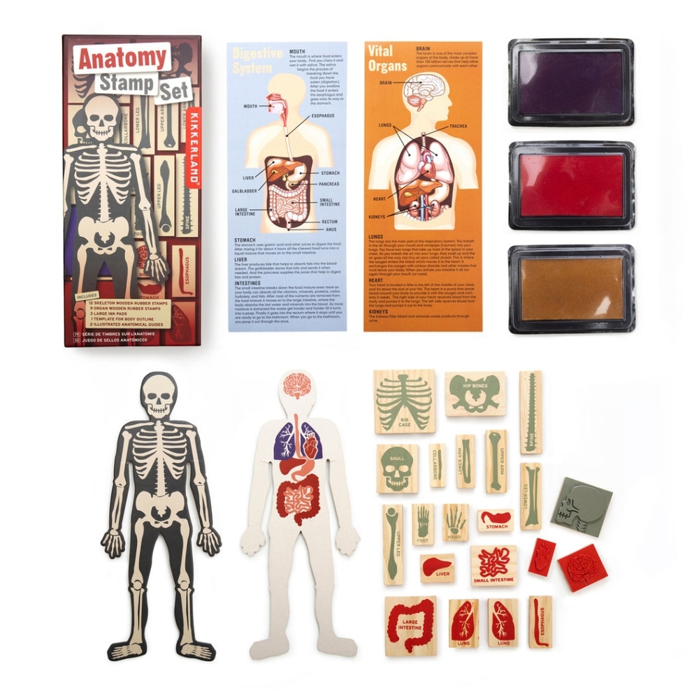 Kikkerland Anatomy Ink Stamp Boxed Set NWOT *UNUSED Age 3+ - Picture 3 of 10